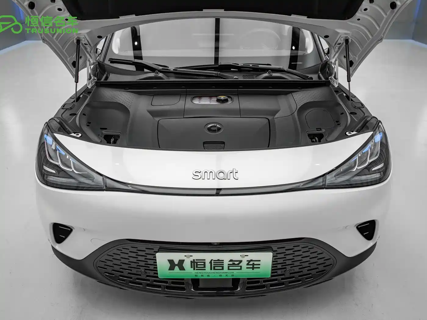 smart Elf #1 2025 2024 Agile Standard Edition