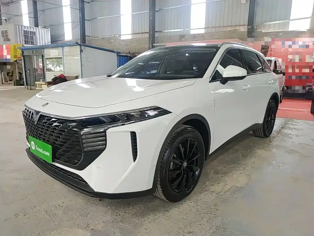 Venucia Big V 2022 2021 260T King Edition