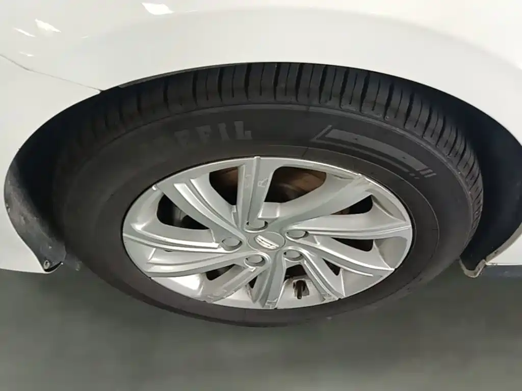Photo 23 - Geely Binrui