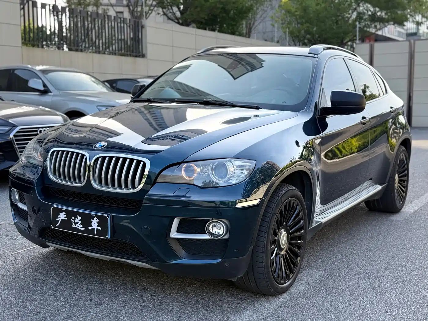 BMW X6 2013 xDrive35i