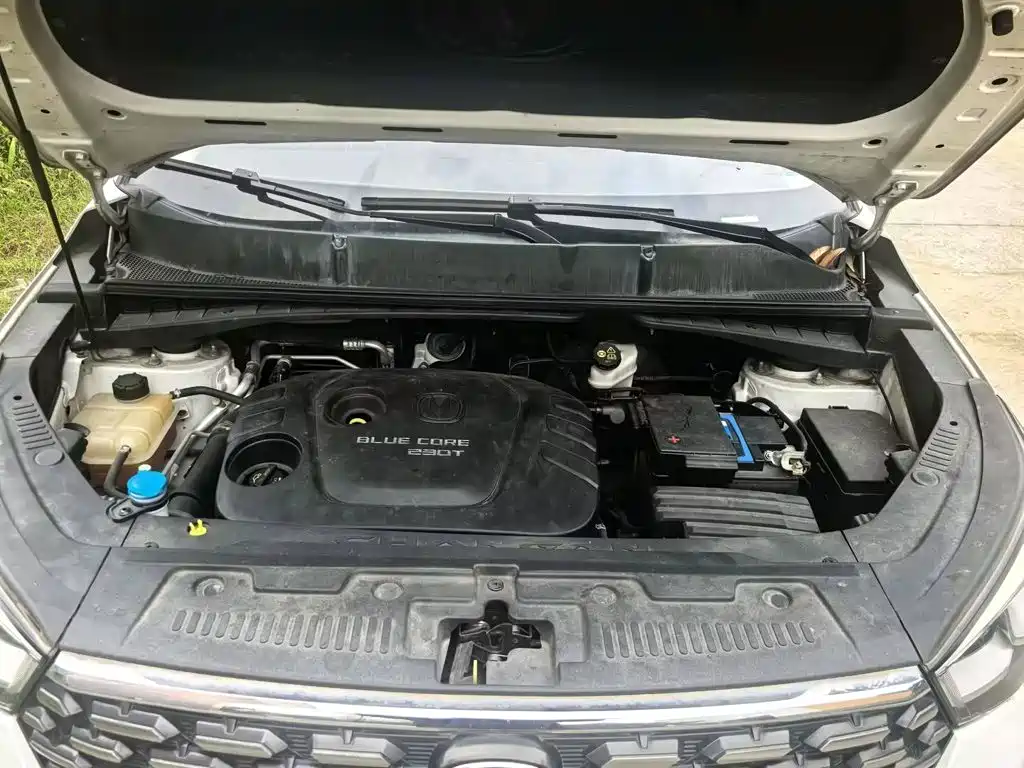 Changan CS55 2019 2018 1.5T Manual Colorful China V