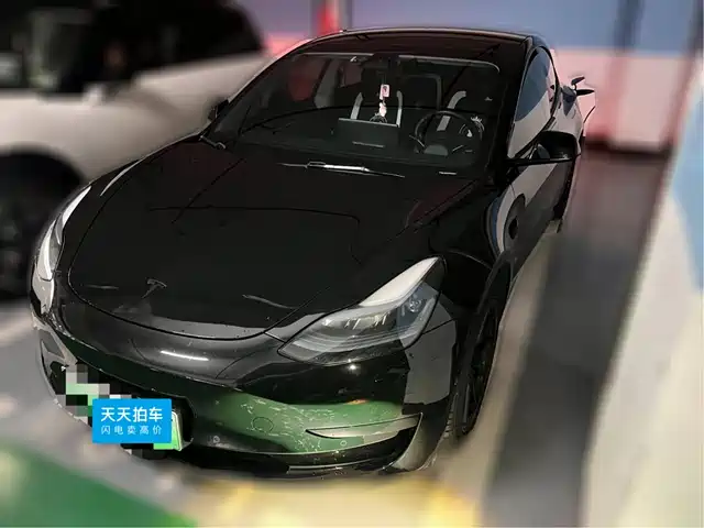 Tesla Model 3 2022 Model Rear-Wheel Drive Version — фото 1