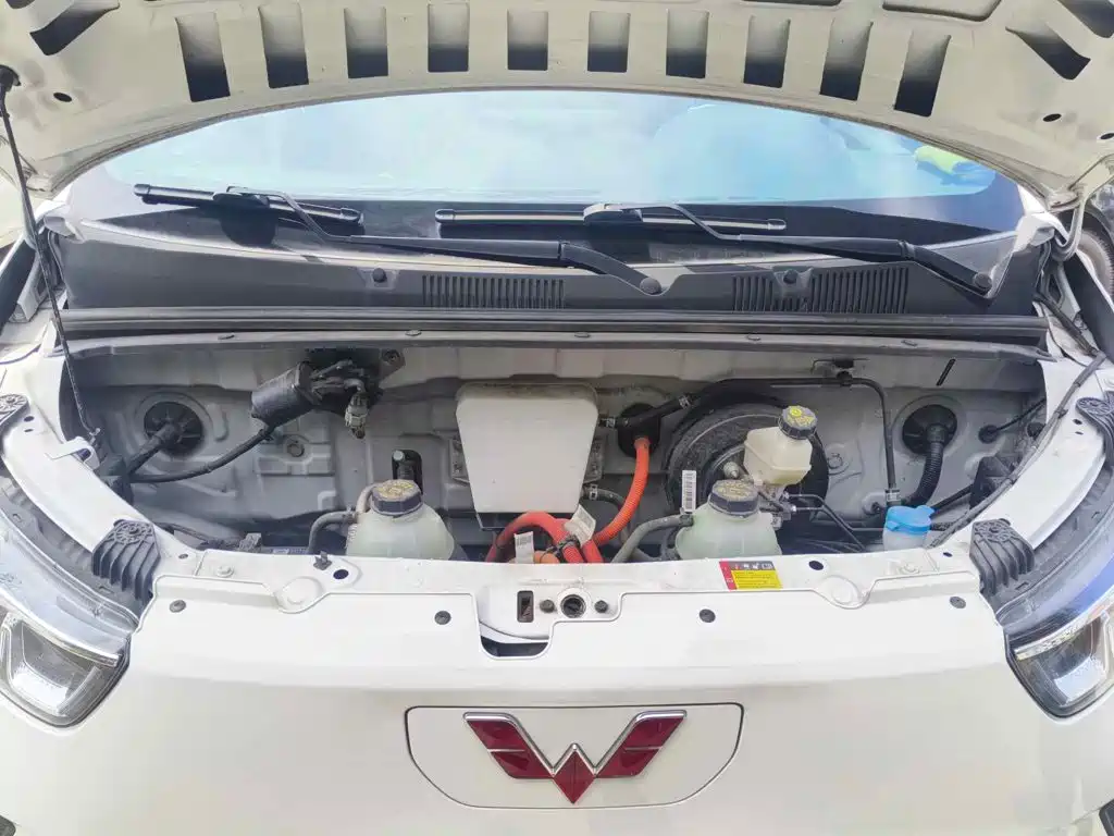 Wuling Motors Wuling Yangguang 2025 2024 300KM Comfort Bus Version 75kW