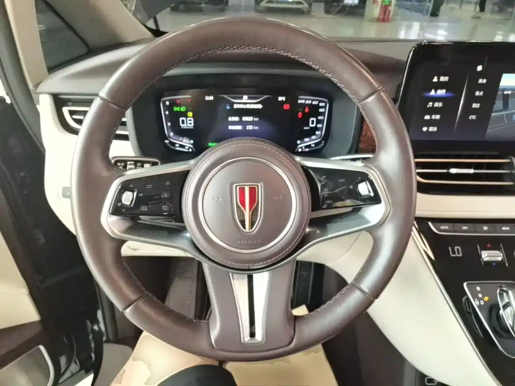 Hongqi HQ9 2023 2023 2.0T Smart Connect Flagship