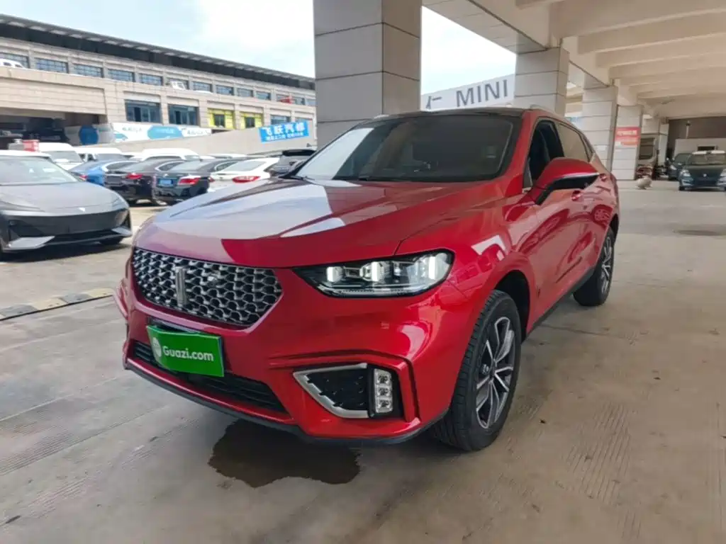 WEY VV5 2021 2021 1.5T 2WD Smart Pioneer