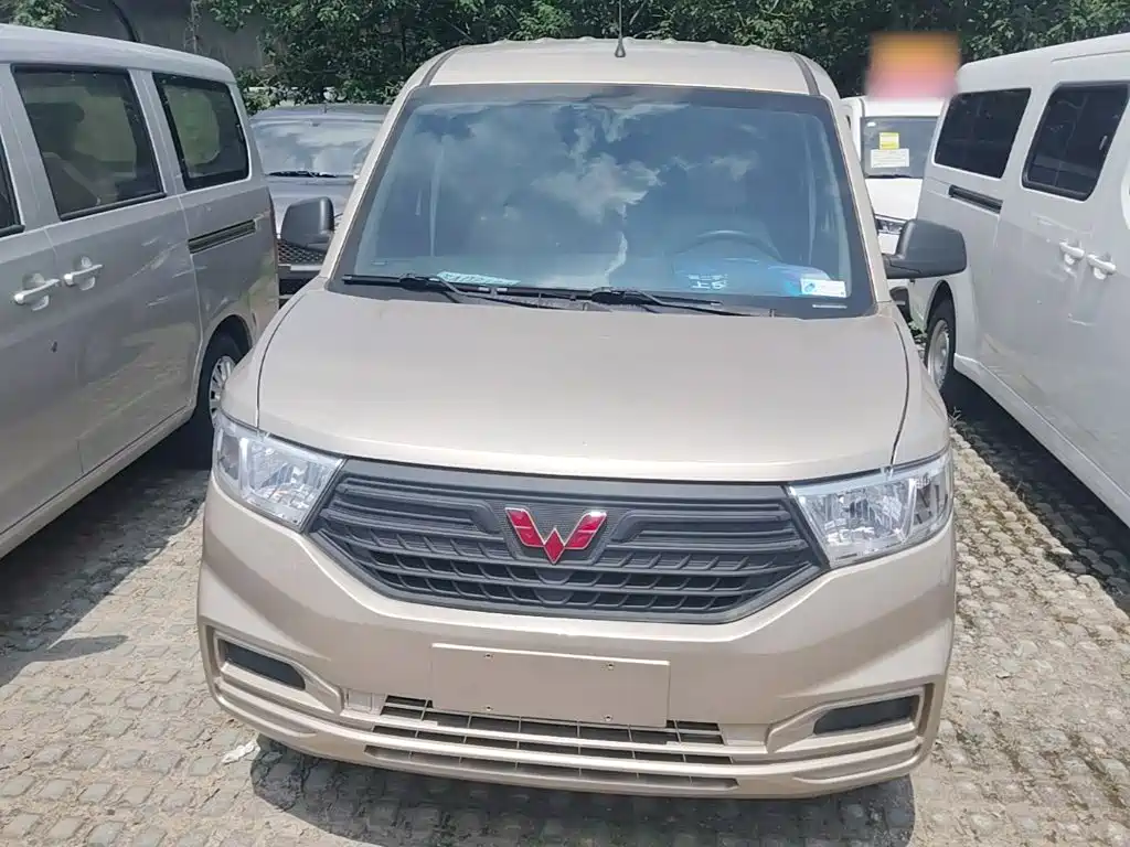 Wuling Motors Wuling Hongguang V 2024 2022 1.5L Dynamic Edition Hydraulic Power Steering LAR