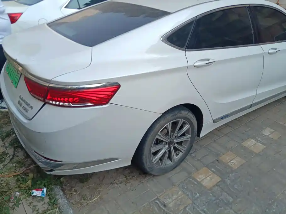 Фото 3 - Geely Borui PHEV