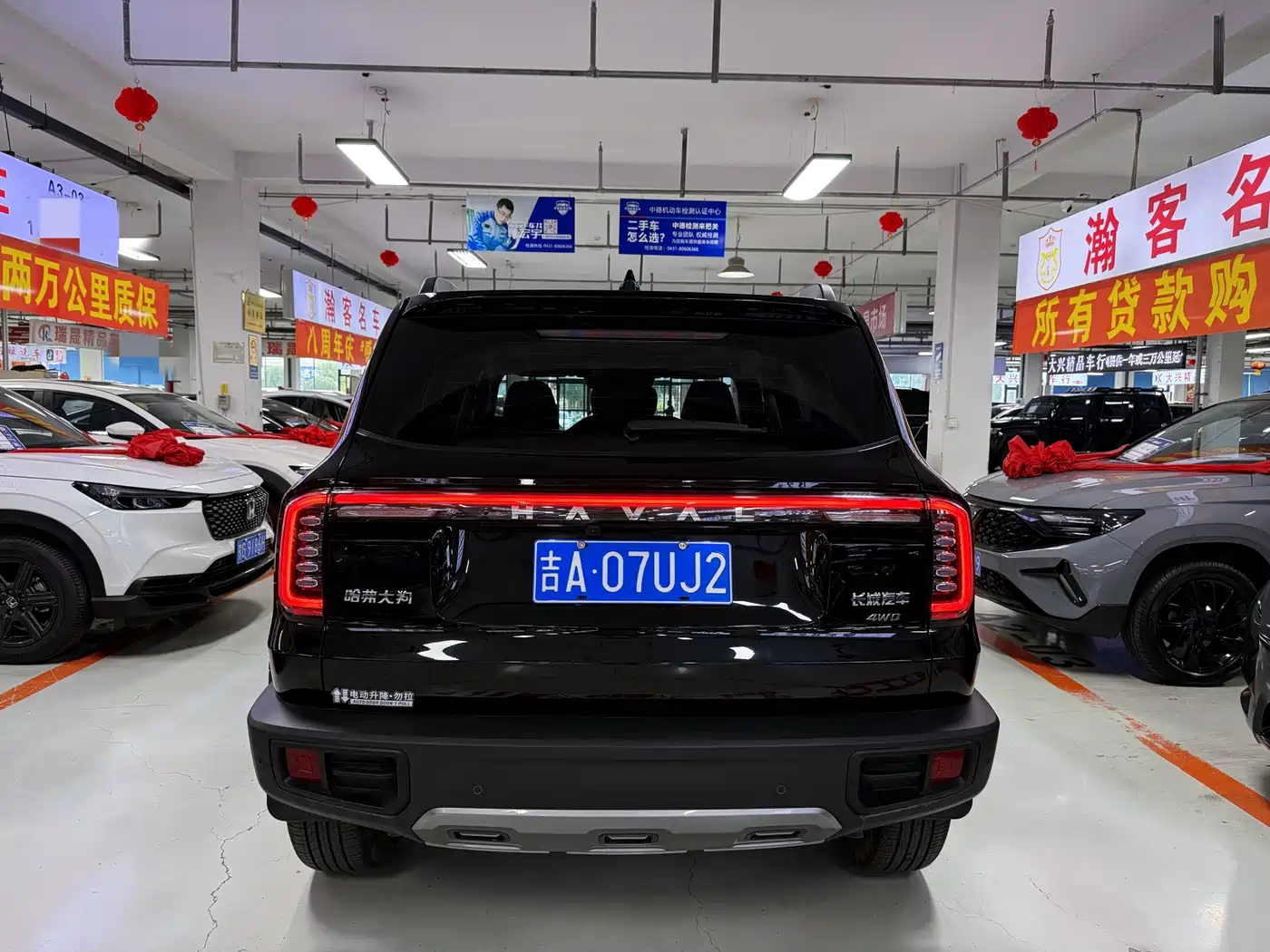 Haval Big Dog 2025 2024 1.5T DCT Border Collie Edition