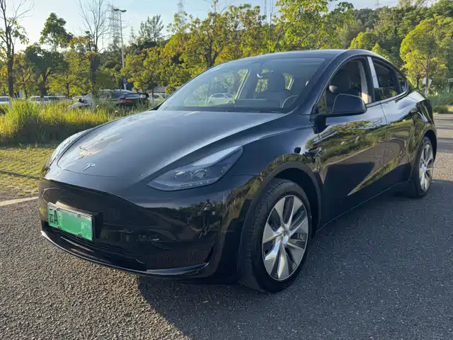 Tesla Model Y 2023 Rear-Wheel Drive Edition