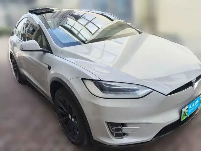 Tesla Model X 2016 Model X 75D — фото 3