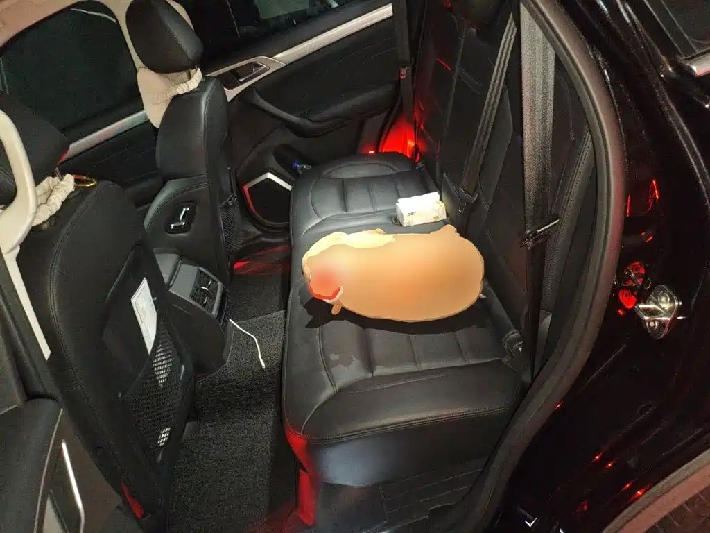 Haval H7 2018 2017 Red Label H7L 2.0T Automatic Luxury