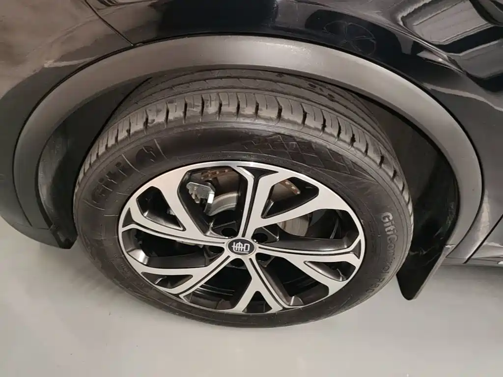 BYD Tang New Energy 2025 2025 Smart Driving Edition DM-i 115KM Honor