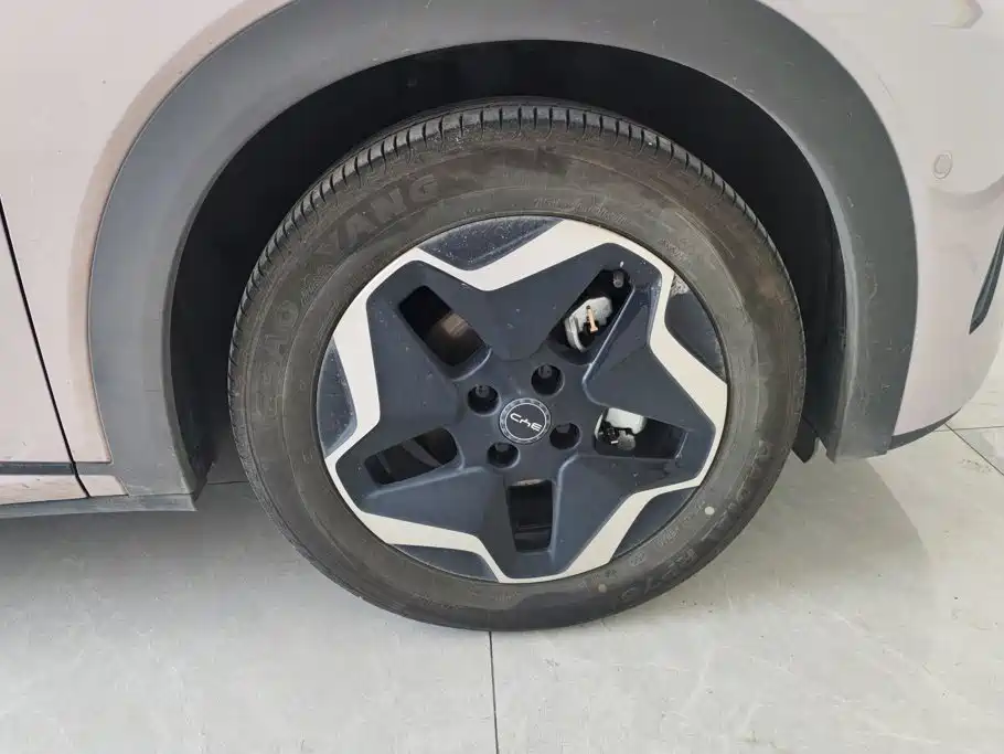 BYD Dolphin 2025 2025 Smart Drive Edition 420km Freedom Version