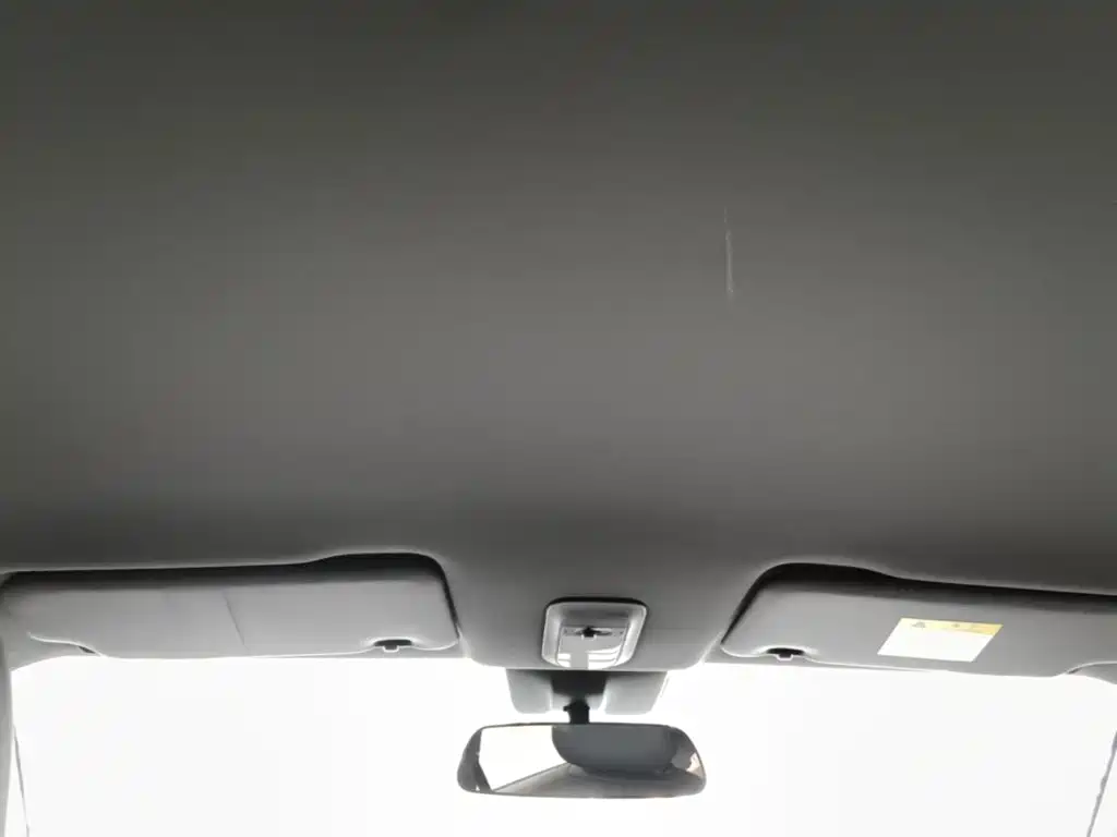 Baojun Yueye Plus 2025 2026 301km Flagship