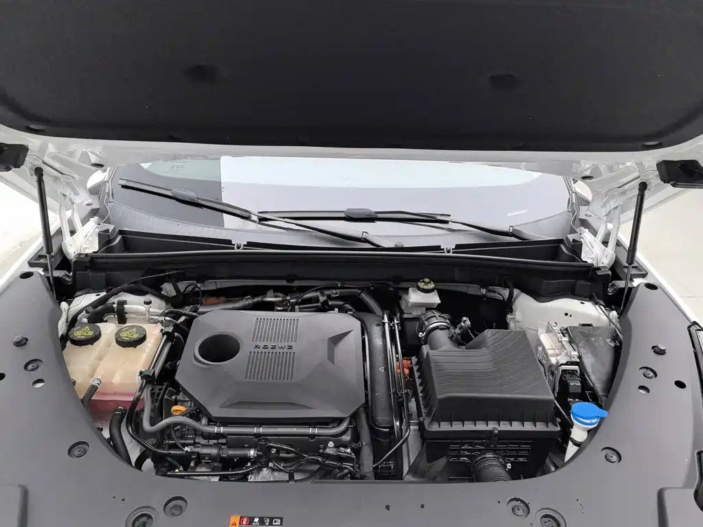 Roewe D5X DMH 2024 2024 Model 135 Technology Edition