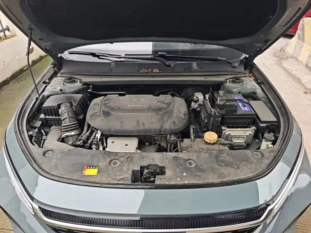 Baojun Valli 2021 2021 1.5T Nagqu Starry Sky CVT Flagship Model