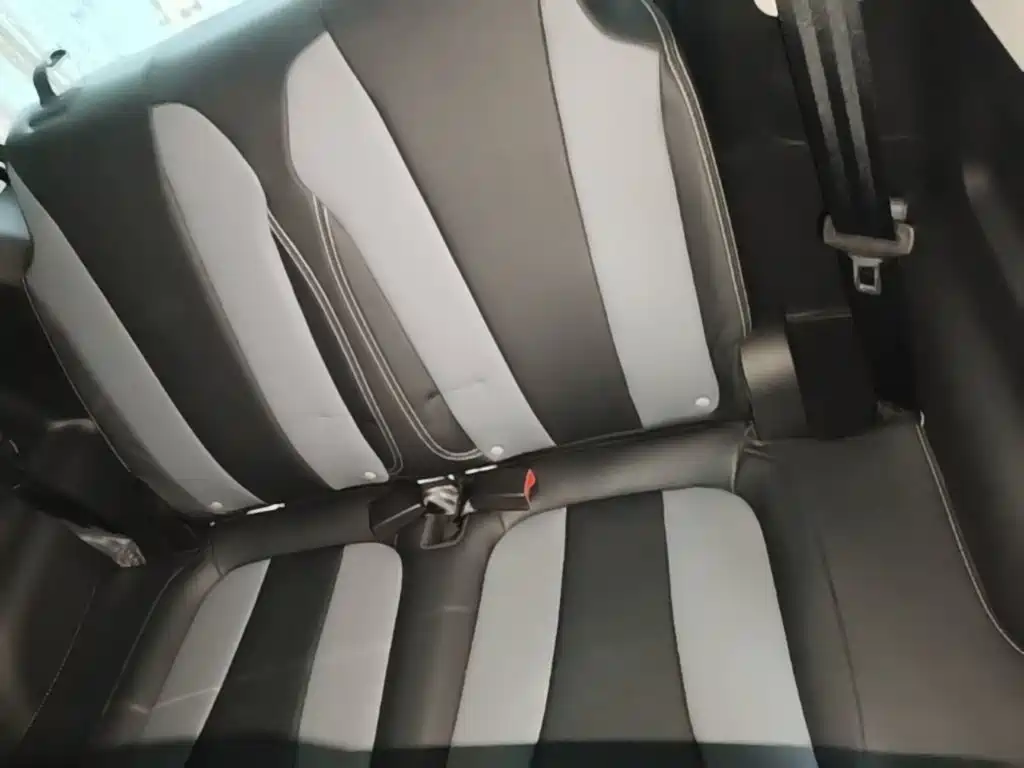 Roewe Clever 2023 2022 311km Vitality Bobo Edition