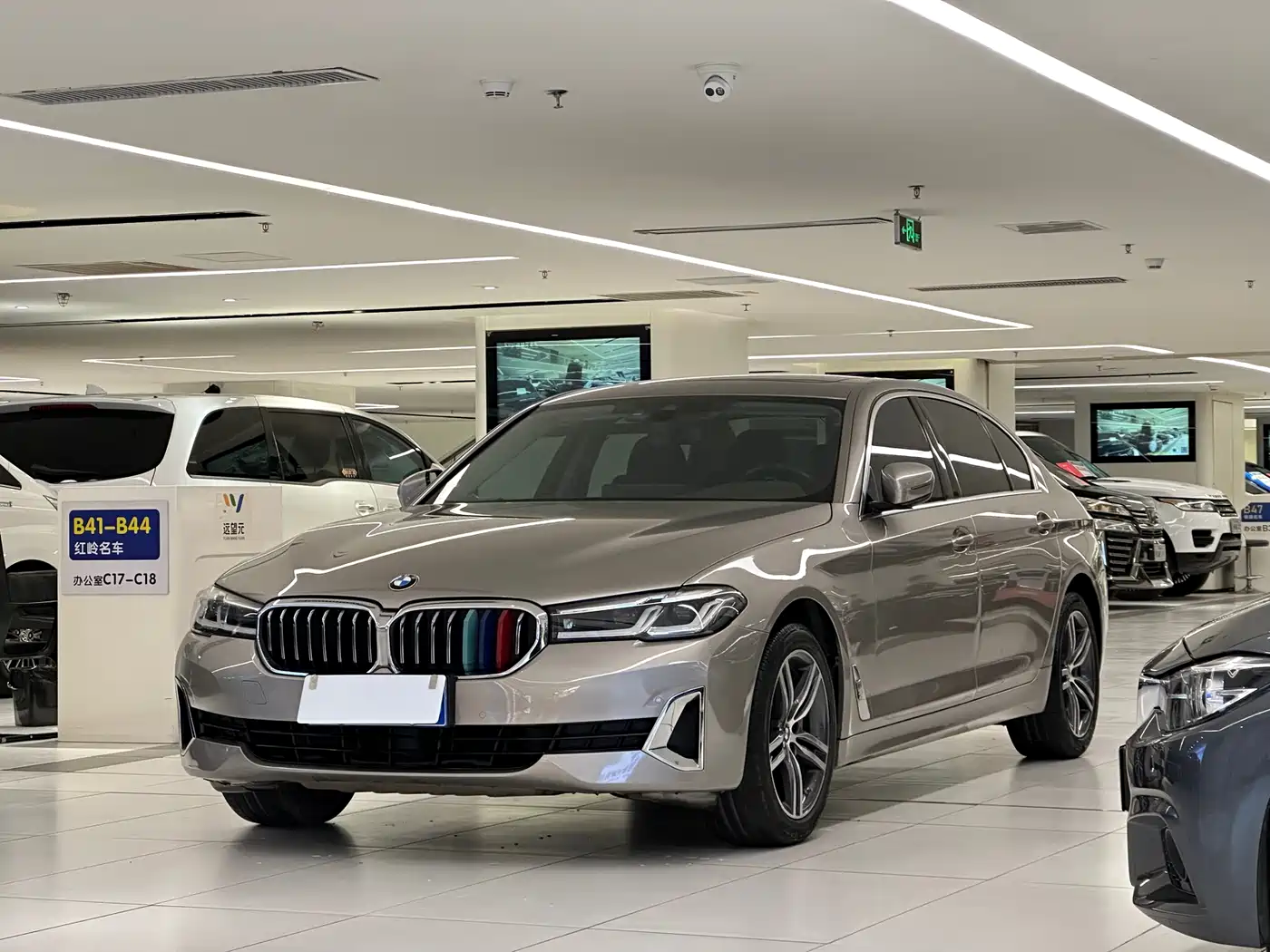 BMW 5 Series 2021 530Li Leading Luxury Package