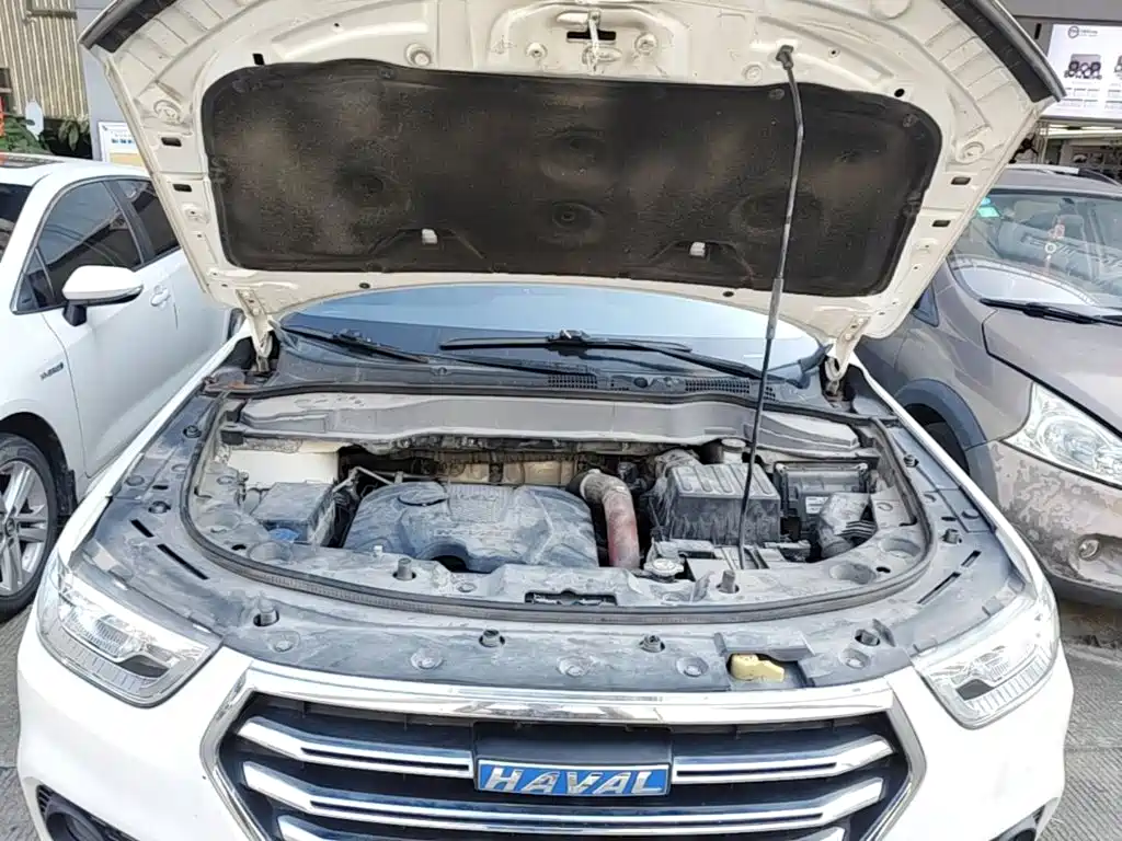 Haval H2 2018 2018 Blue Label 1.5T DCT 2WD Luxury