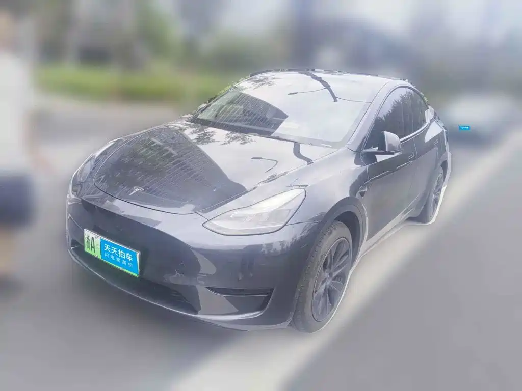 Tesla Model Y 2024 Rear-Wheel Drive Version
