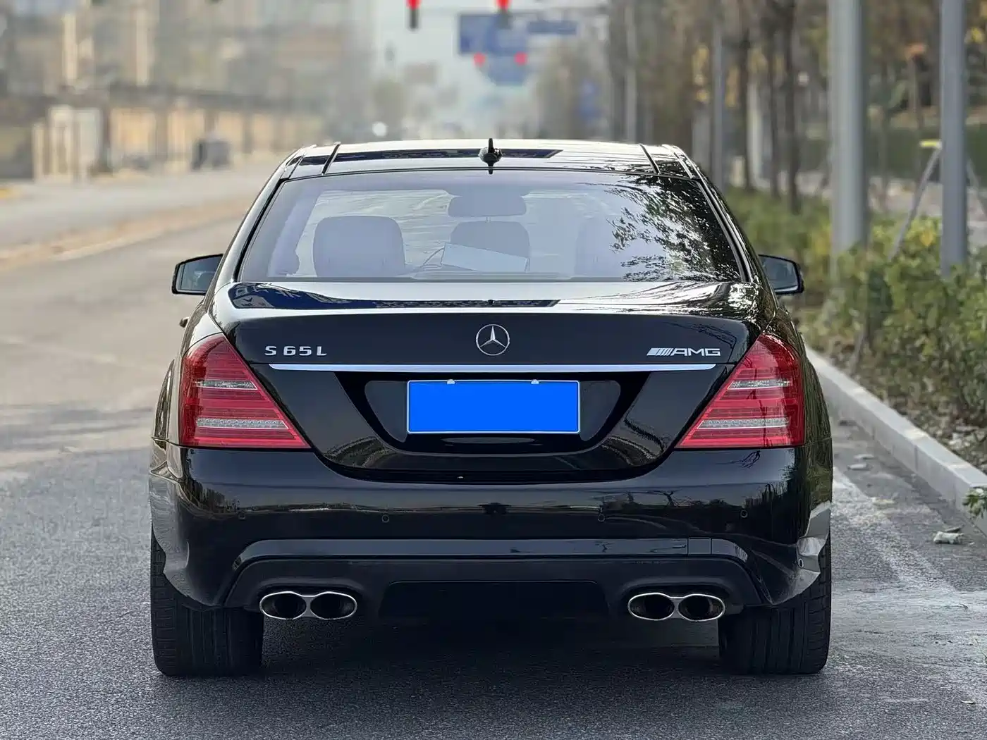 Mercedes-Benz S-Class AMG 2013 AMG S 65 L Grand Edition фото 5