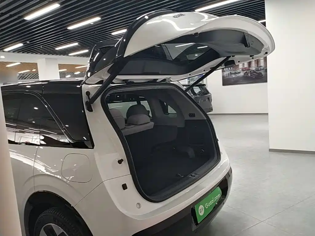 ZEEKR MIX 2026 2025 Smart Driving Edition