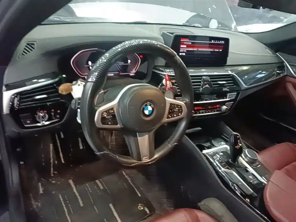 BMW 5 Series 2020 530Li Leading M Sport Package фото 10