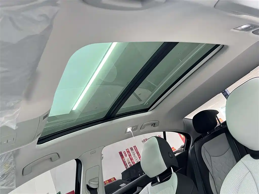 Volkswagen Magotan 2026 Model 30 Million Special Selection 380TSI DSG Luxury фото 14