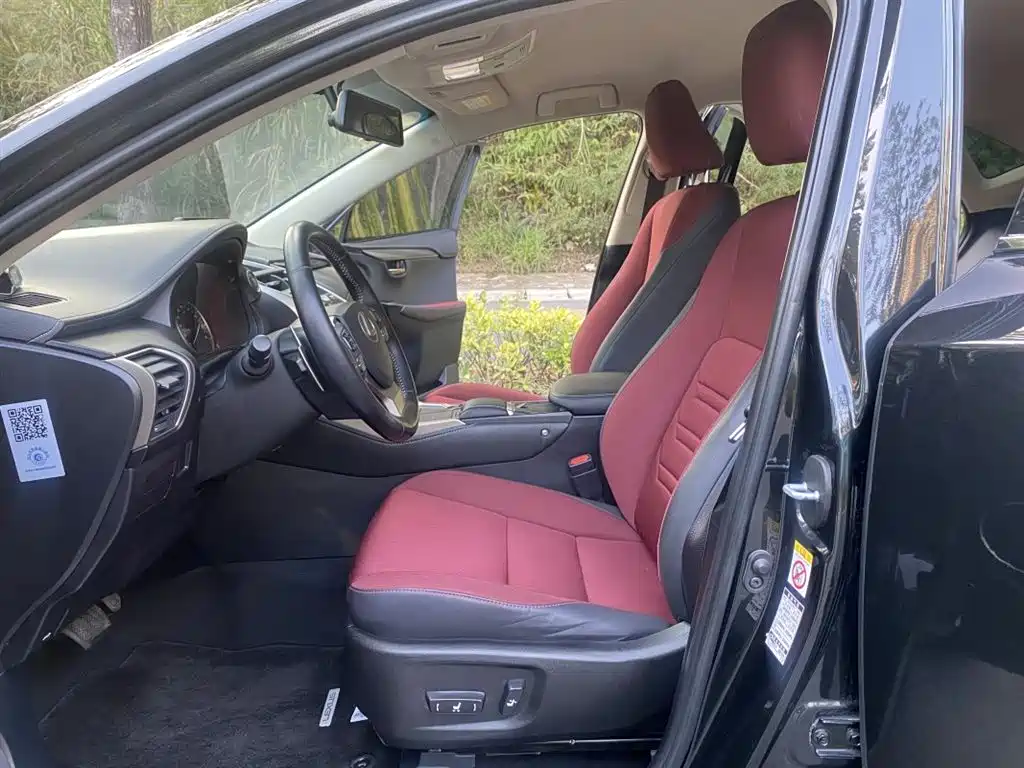 Lexus NX 2018 Model 200 FWD Fengxing Edition China V фото 8