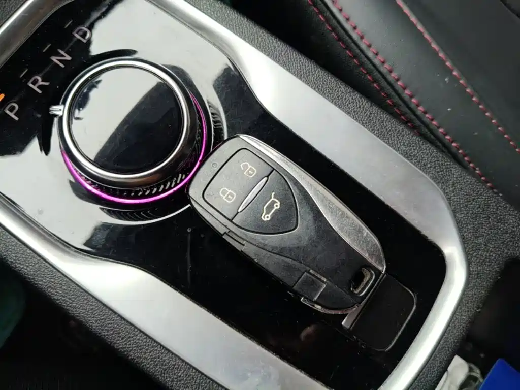 Dayun Yuehu 2022 2022 30.66kWh 2WD VIP Edition