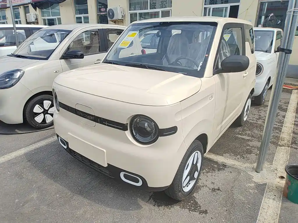 Geely Galaxy Panda 2026 2025 Panda mini 210km Vitality Bear