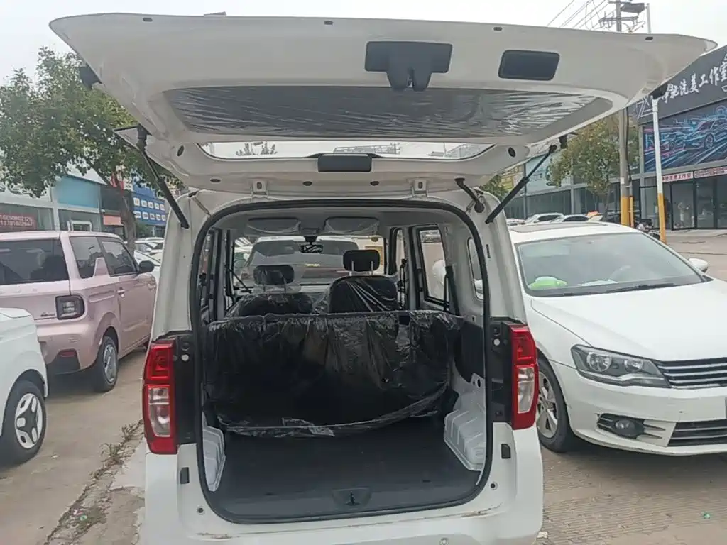 Wuling Motors Wuling Zhiguang NEV 2026 2025 Model Comfort