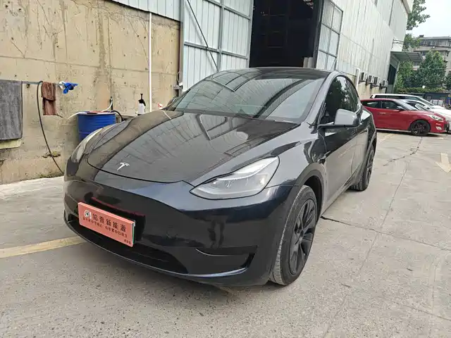 Tesla Model Y 2024 Rear-Wheel Drive Version