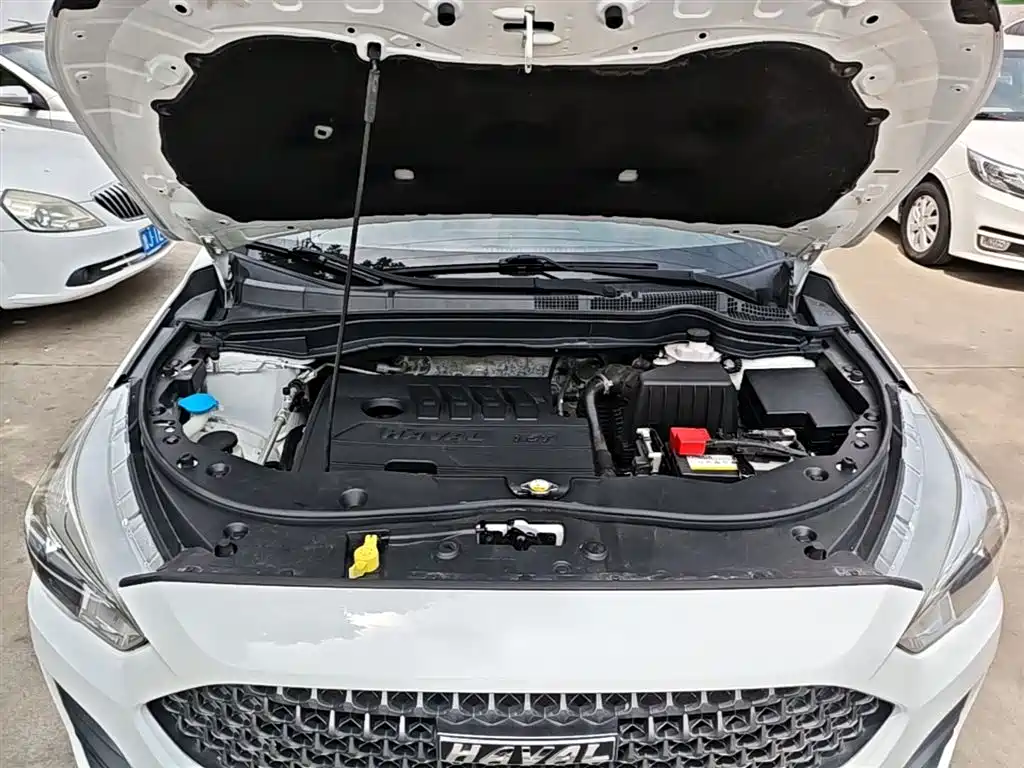 Haval M6 2019 1.5T DCT 2WD Elite Type China VI фото 20