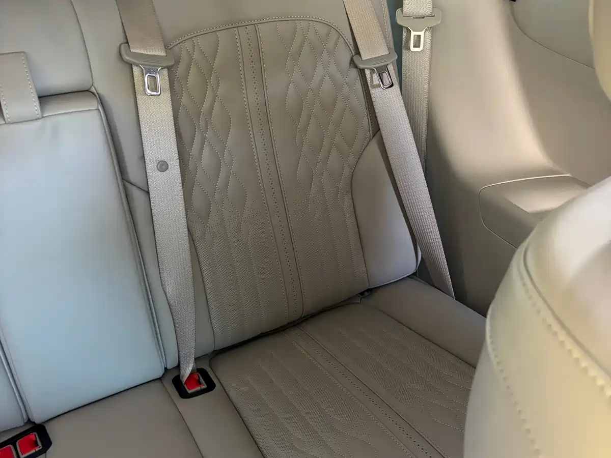 Buick GL8 2023 ES Landmaster Comfort фото 13
