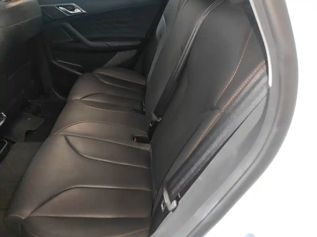 Roewe D5X DMH 2024 2024 135 Luxury Edition