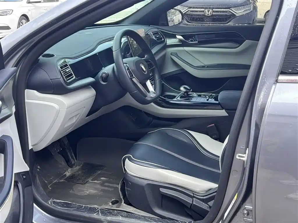 BYD Qin PLUS 2021 DM-i 120KM Premium фото 9