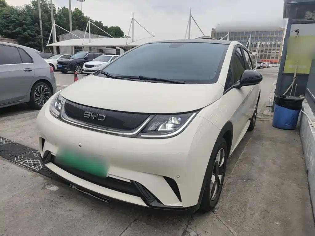 Фото 2 - BYD Dolphin