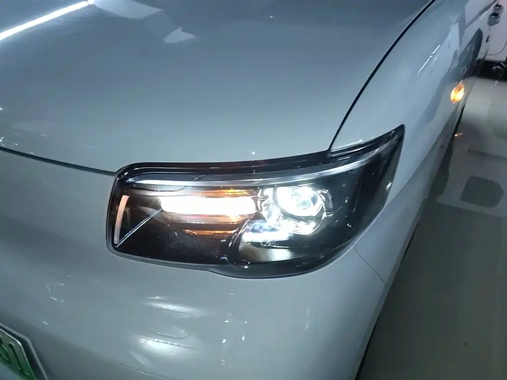 Wuling Motors Wuling Zhiguang NEV 2026 2025 Model 305km Base Version