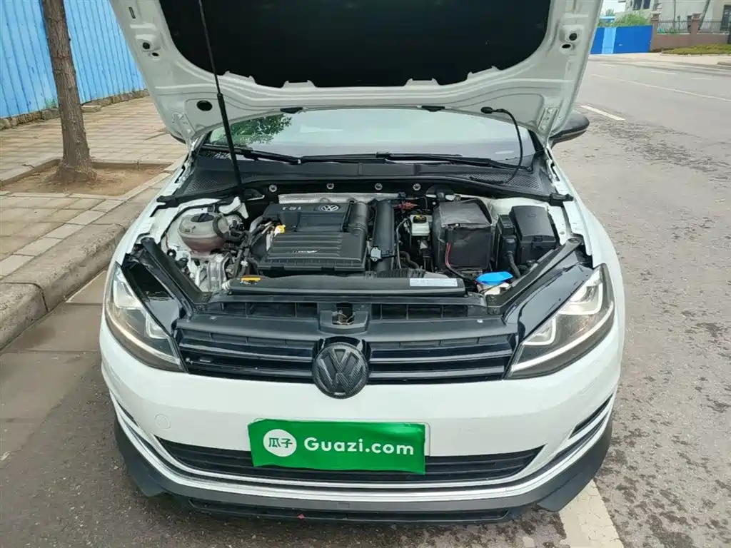 Volkswagen Golf 2016 1.4TSI 25th Anniversary Edition фото 20