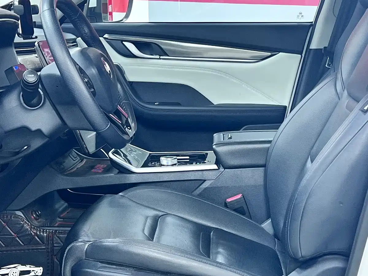2020 Weltmeister EX5