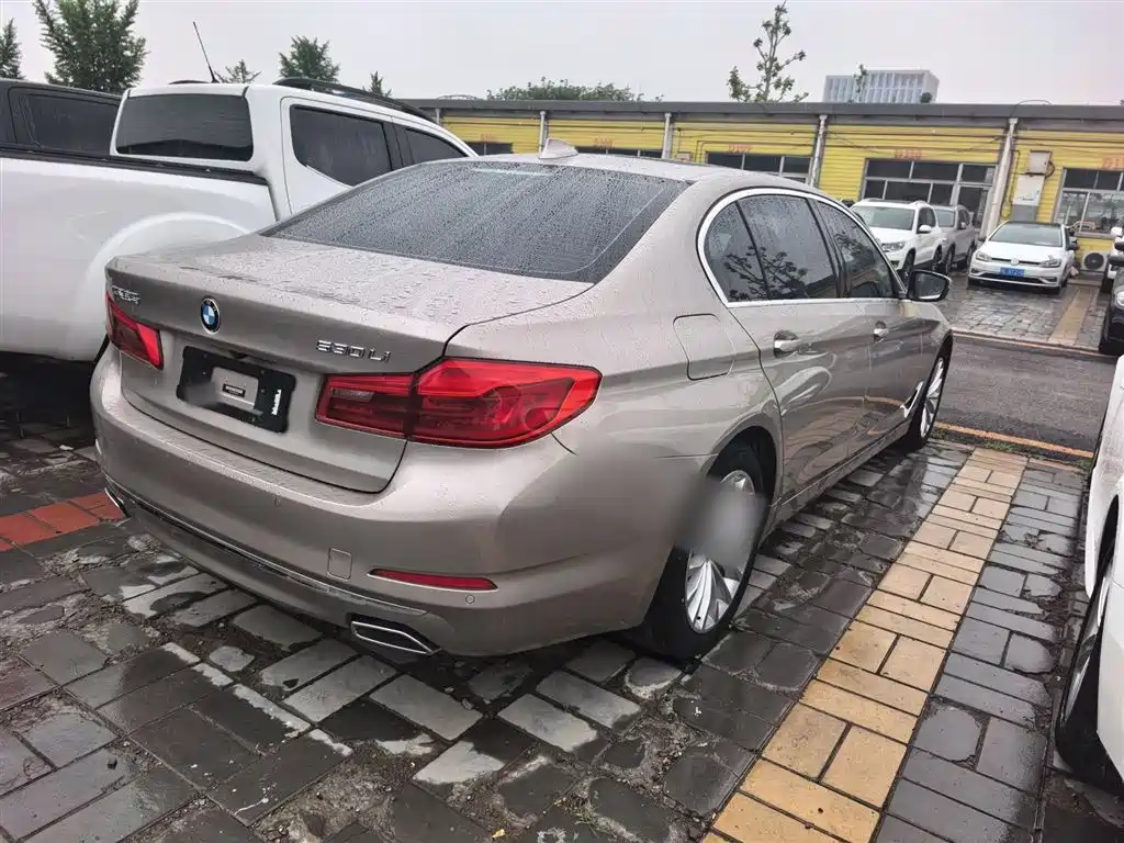 BMW 5 Series 2019 530Li Leading Luxury Package фото 7