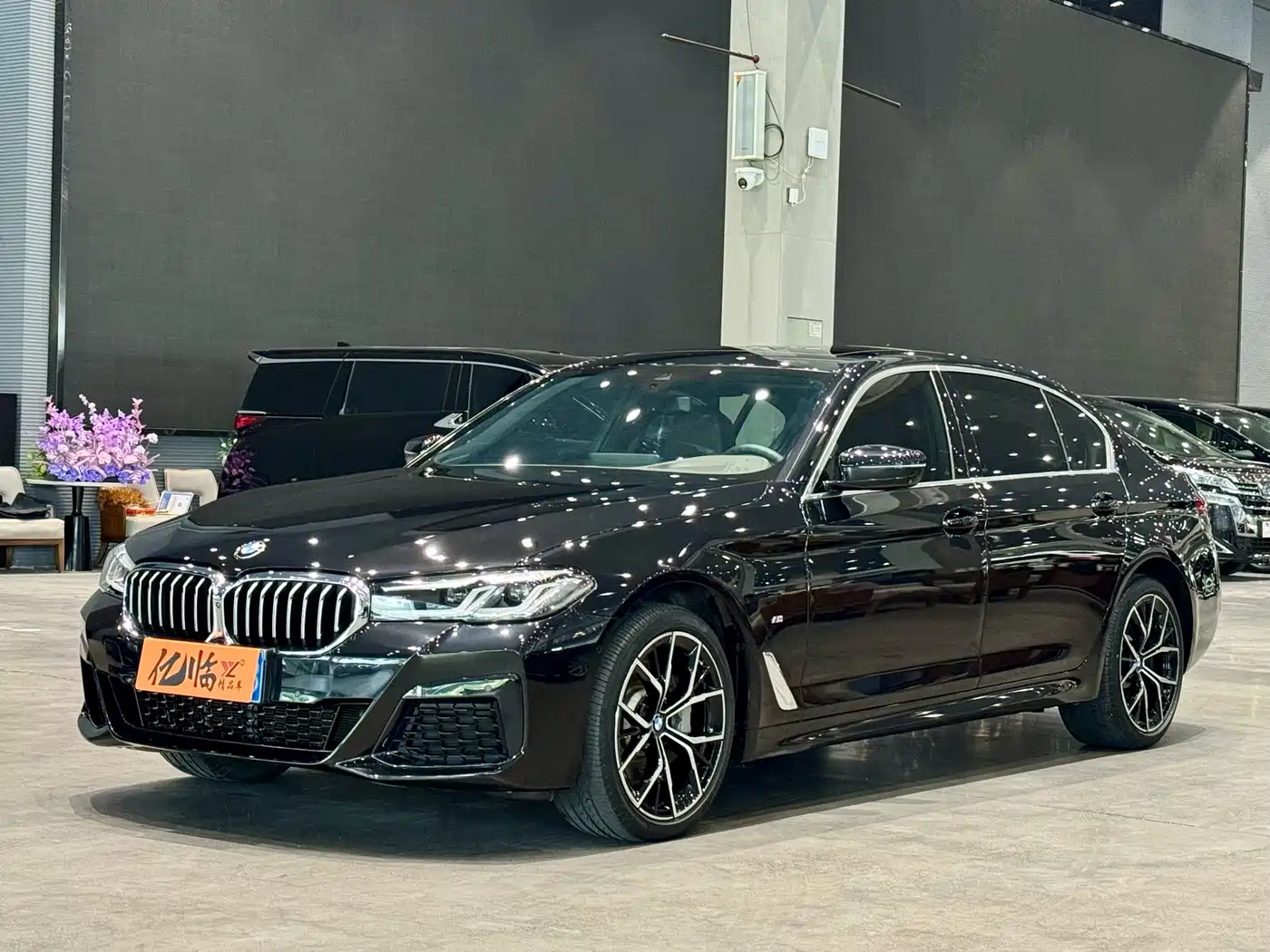 BMW 5 Series 2023 530Li Premium M Sport Package