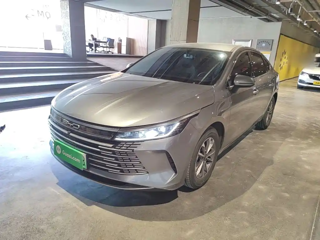 BYD Destroyer 05 2025 2024 Glory Edition DM-i 55KM Luxury