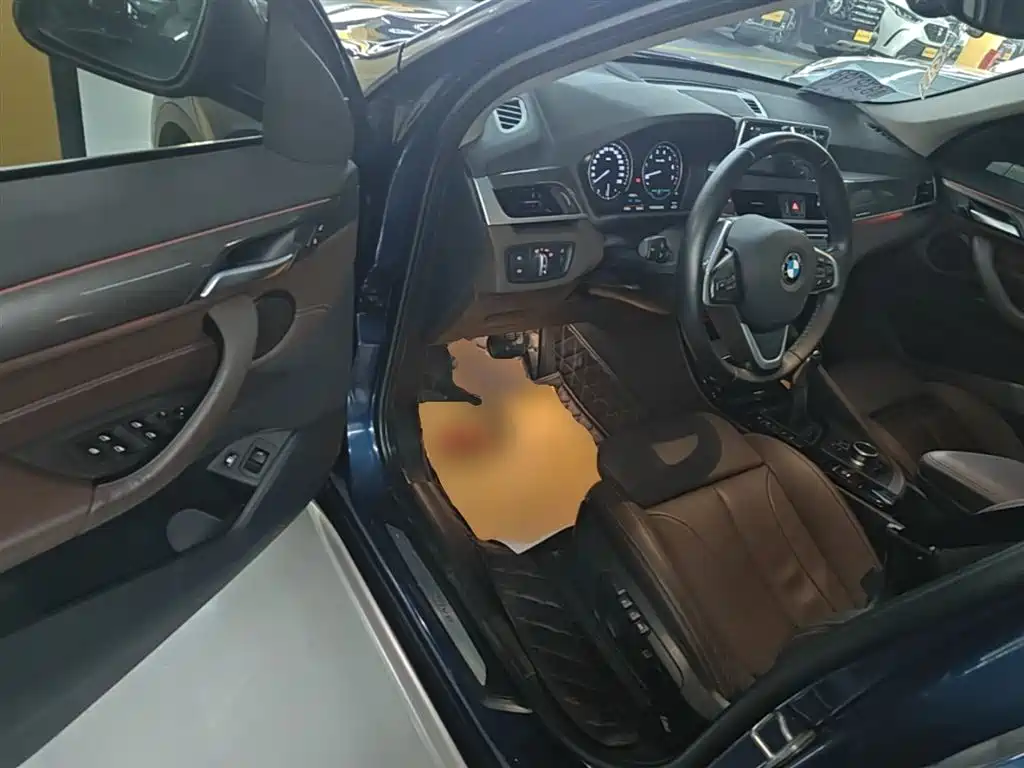BMW X1 New Energy 2019 xDrive25Le Range Upgrade Edition фото 16