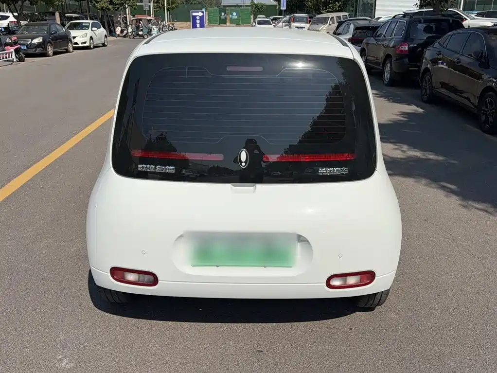 Ora White Cat 2021 2022 Upgraded 305km Luxury (NMC)