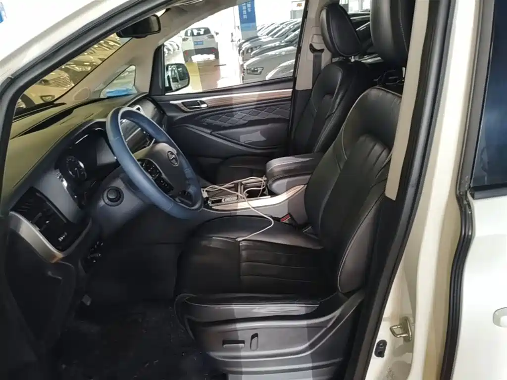 GAC Trumpchi Trumpchi M8 2018 320T Premium Edition фото 15