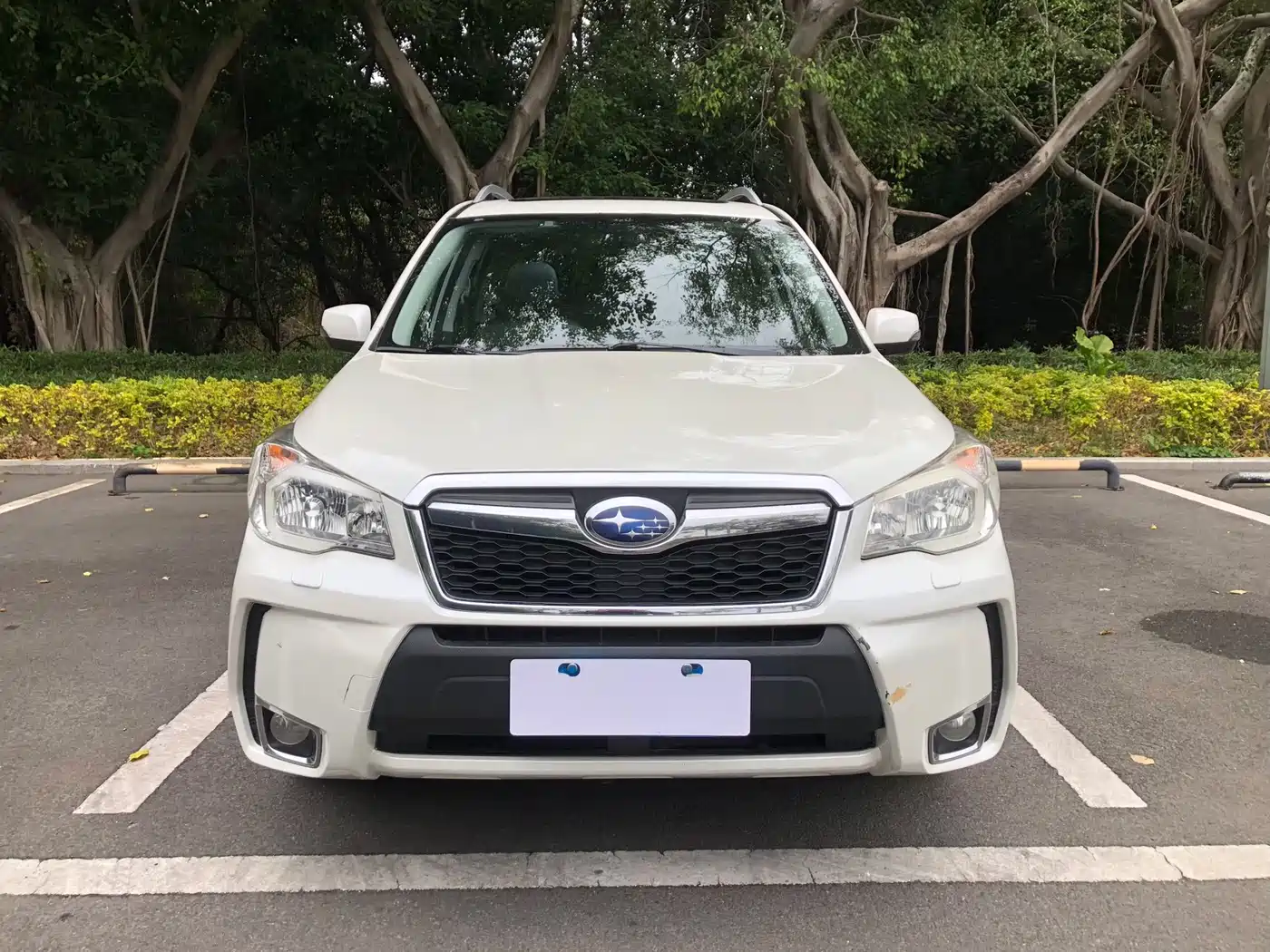 Subaru Forester 2013 2.5i Automatic Premium Edition фото 2