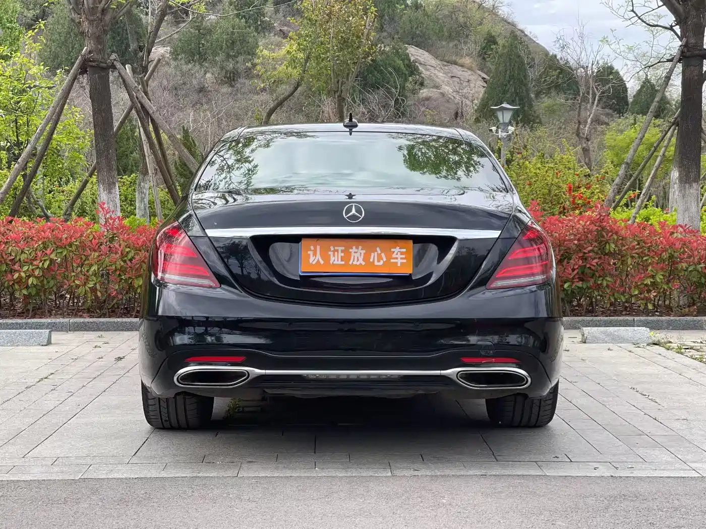 Mercedes-Benz S-Class 2018 S 320 L фото 8