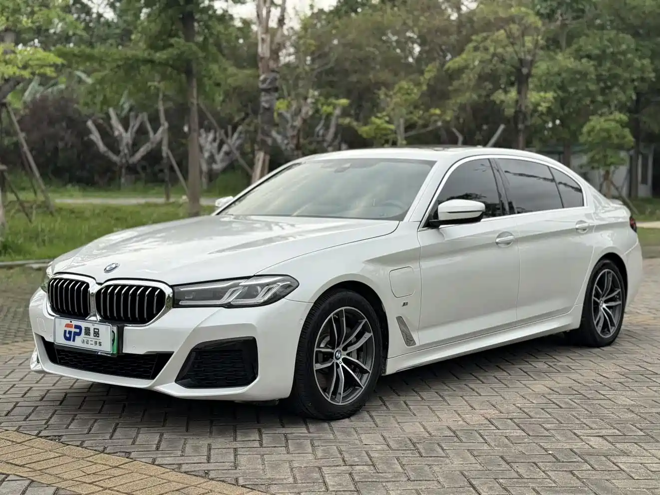  BMW BMW 5 Series New Energy 2022 Facelift 535Le Luxury Package